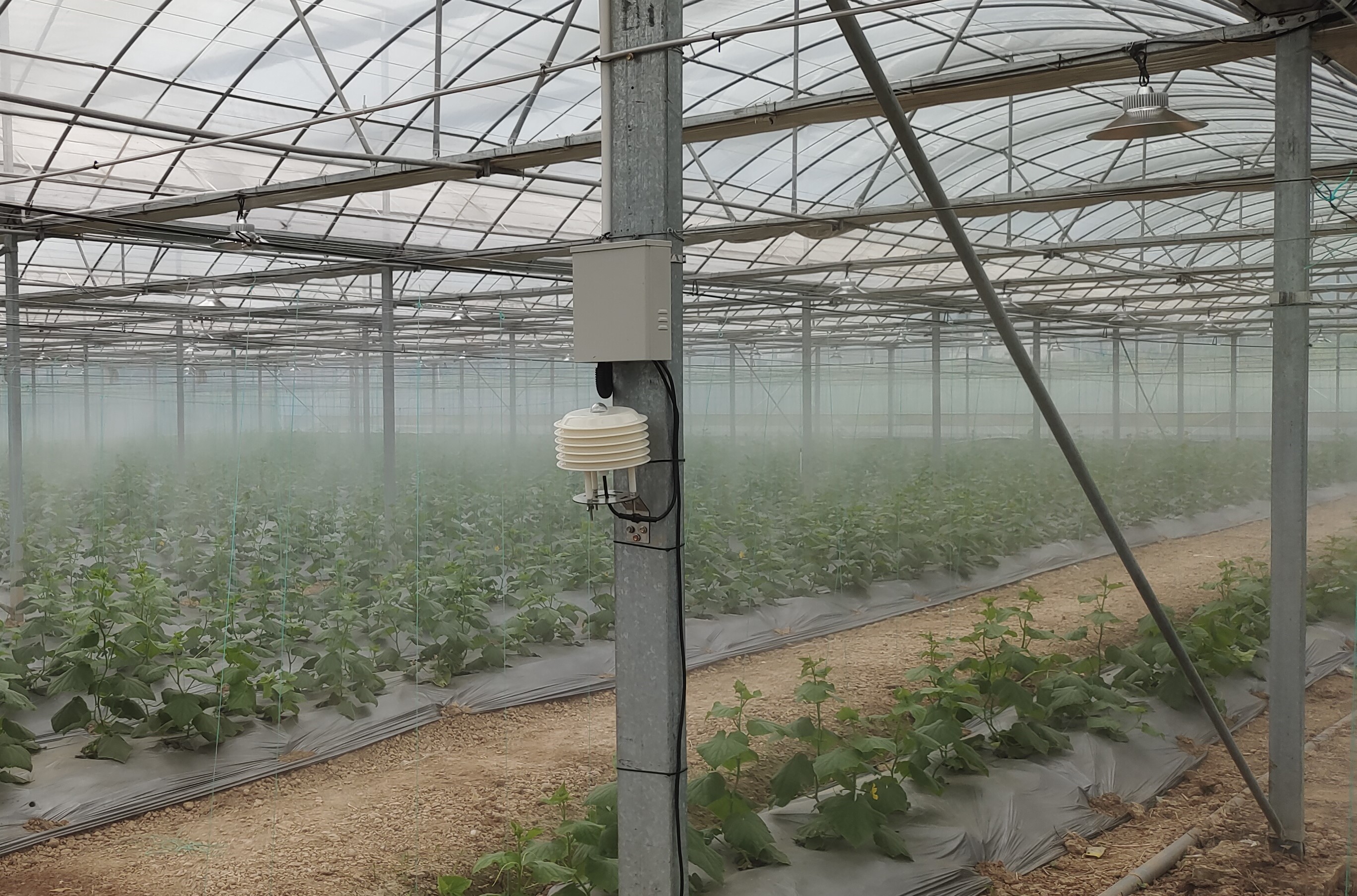 万棚农业-重庆临江数字农业项目-高压喷雾智能打药机