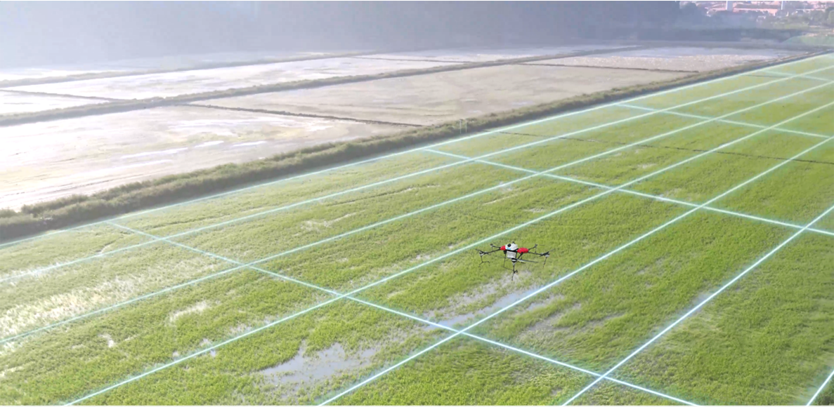 农业无人机俯视农田场景