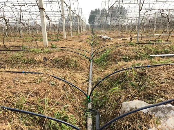 山东万棚数据公司智能水肥灌溉系统丨输配水管网系统