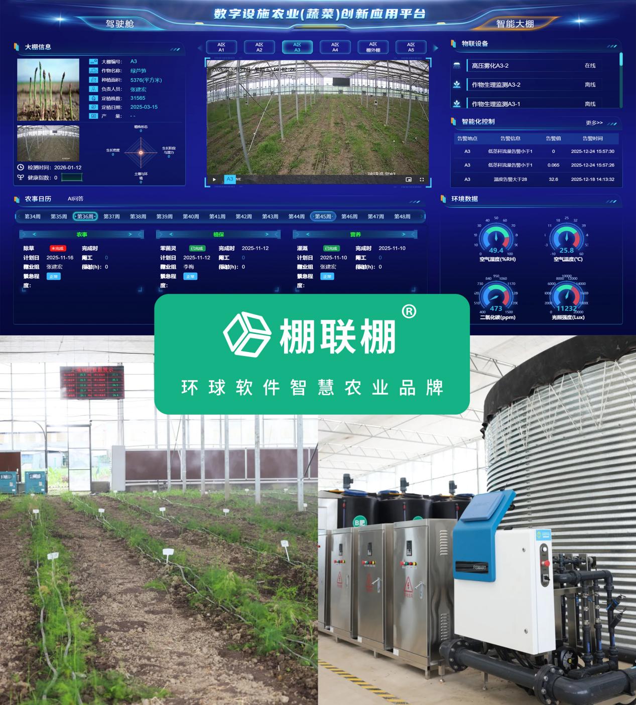 数智赋能 环球软件助天府芦笋&ldquo;鲜&rdquo;出圈